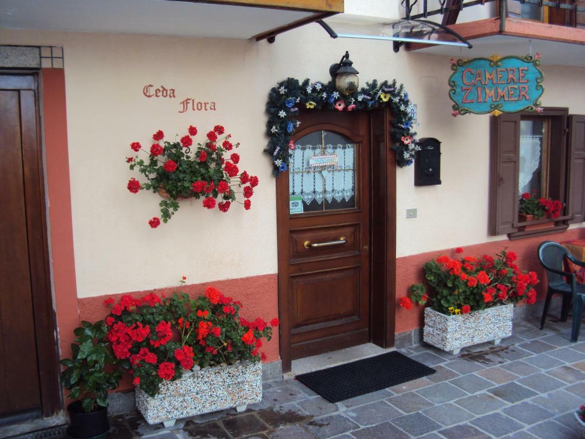 La Casa Di Beppe Appartamento E Camere Danta Экстерьер фото